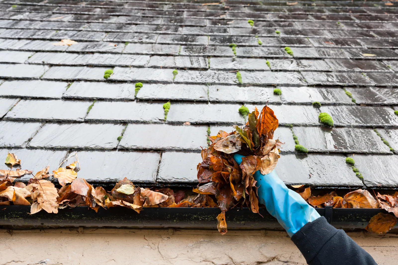 Gutter Cleaning Services in Chicago | chicago gutter cleaners | gutter cleaner chicago